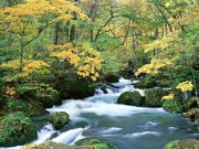 クリーニングのラスカル