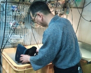 剣道の防具を洗う様子