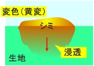 シミの構造、しみは時間と共に変化して行きます。