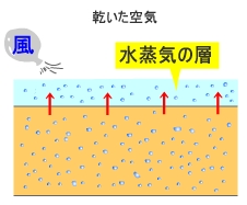乾燥のメカニズム