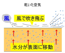 乾燥のメカニズム