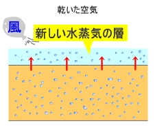 乾燥のメカニズム