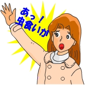 大切な服に虫食いが!