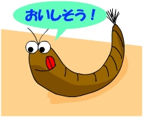 衣類の虫は高級衣料が大好きです
