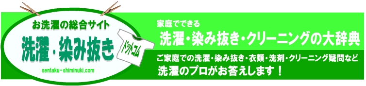 クリーニング・洗濯・染み抜き大辞典