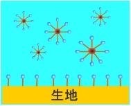 洗浄のメカニズム