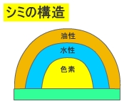 染み抜き構造
