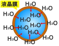界面活性剤の働き