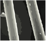 ガラス繊維