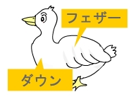 ダウン・フェザー