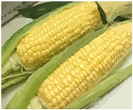 とうもろこし繊維