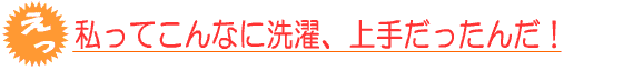 家庭用洗濯洗剤プロ・ウォッシュで洗濯上手に