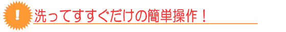 洗ってすすぐだけの簡単洗濯は家庭用洗濯洗剤プロ・ウォッシュ
