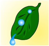 表面張力とは?