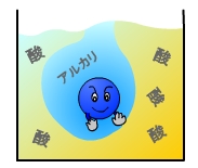 アルカリ緩衝作用