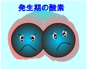 塩素は水と反応すると…