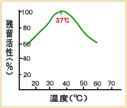 酵素の温度による条件