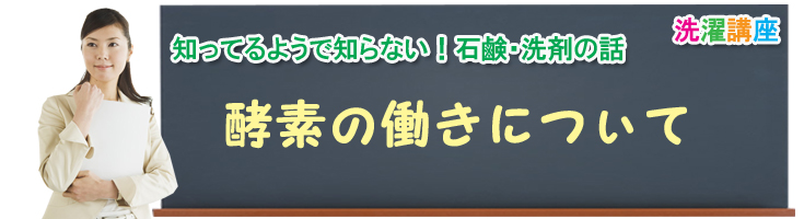 酵素の働きについて、知ってるようで知らない石鹸・洗剤の話